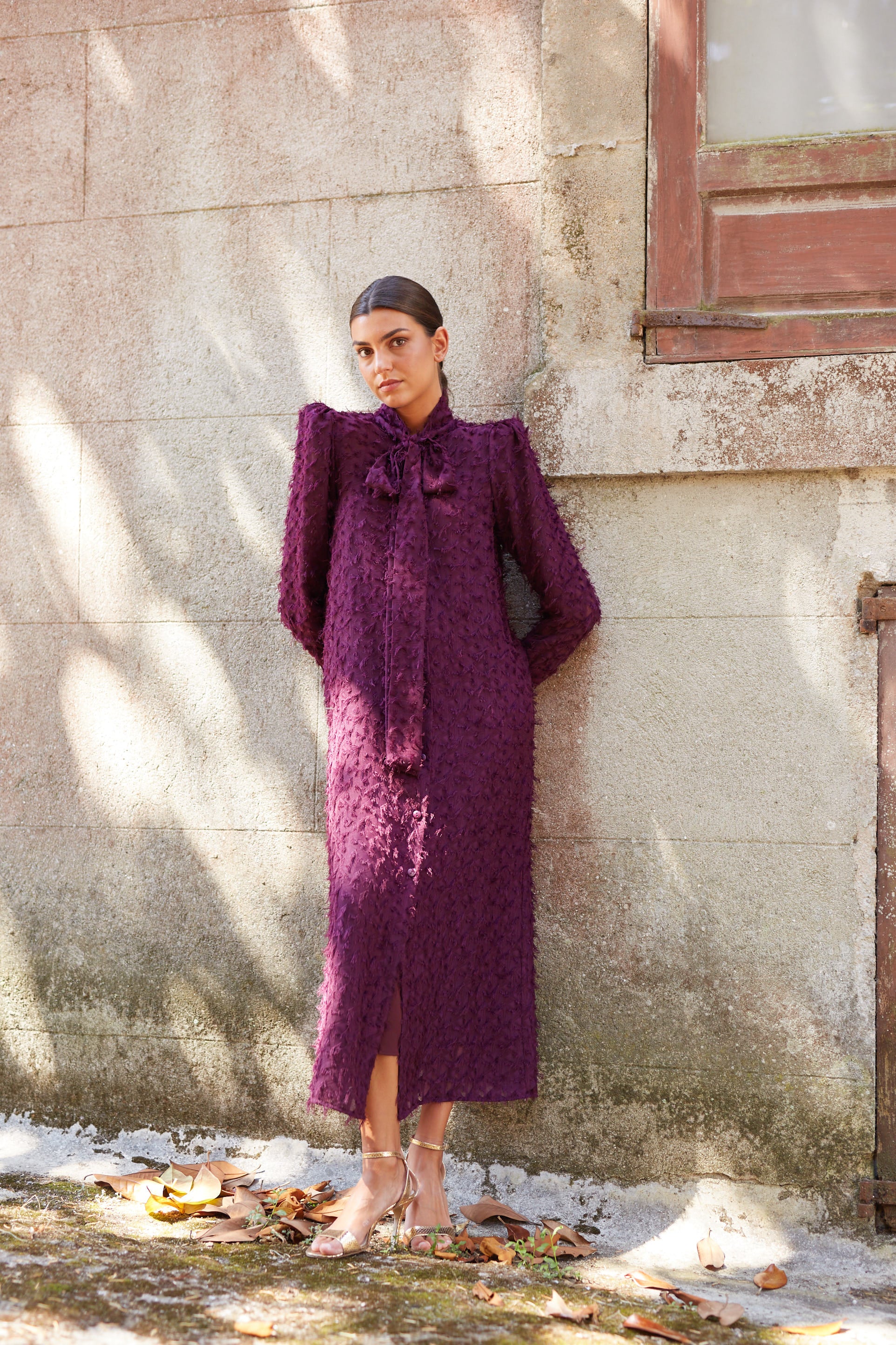 Imagen del producto 4